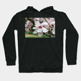 Spring Dancers Hoodie